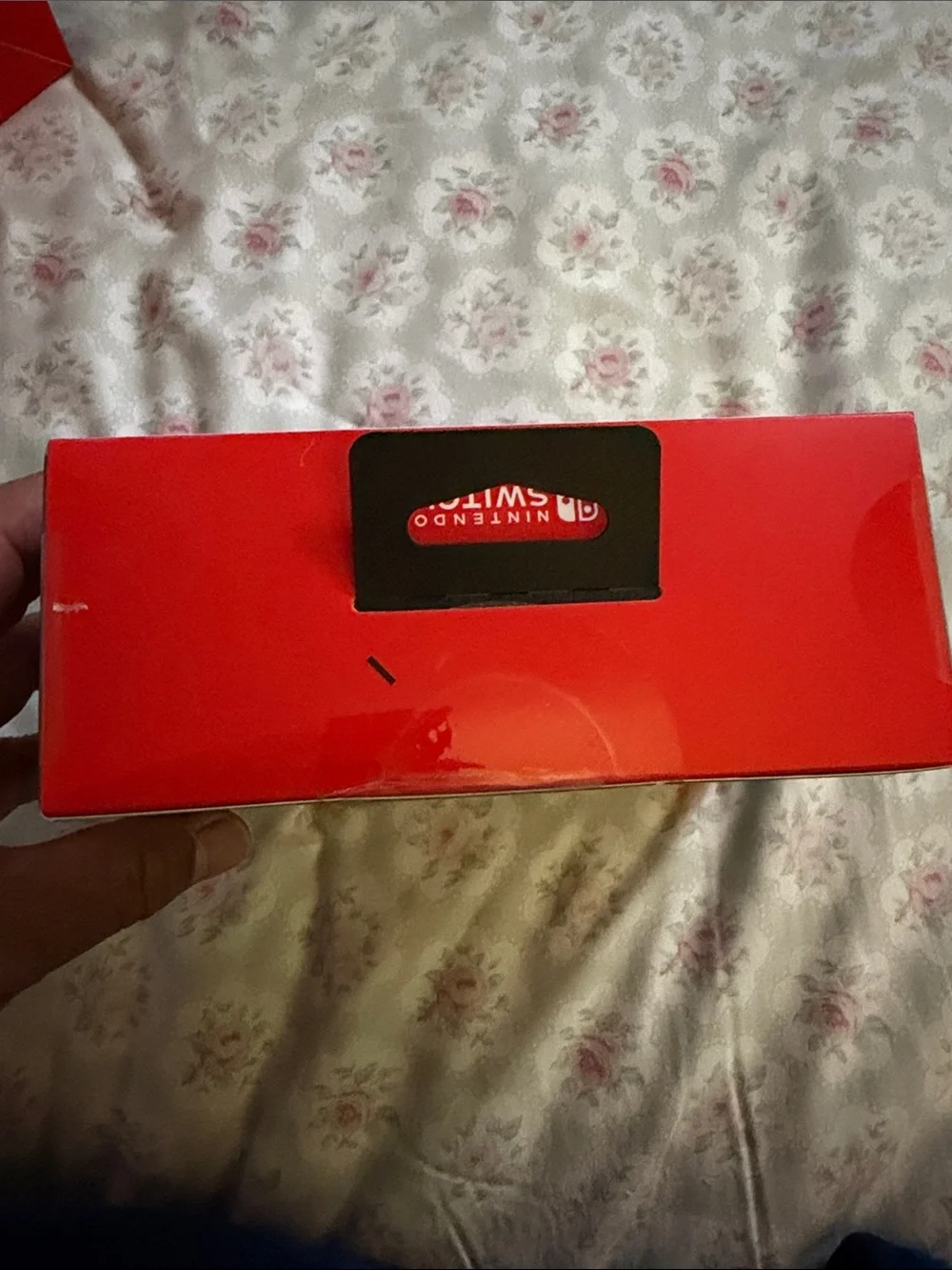Nintendo Switch official powera